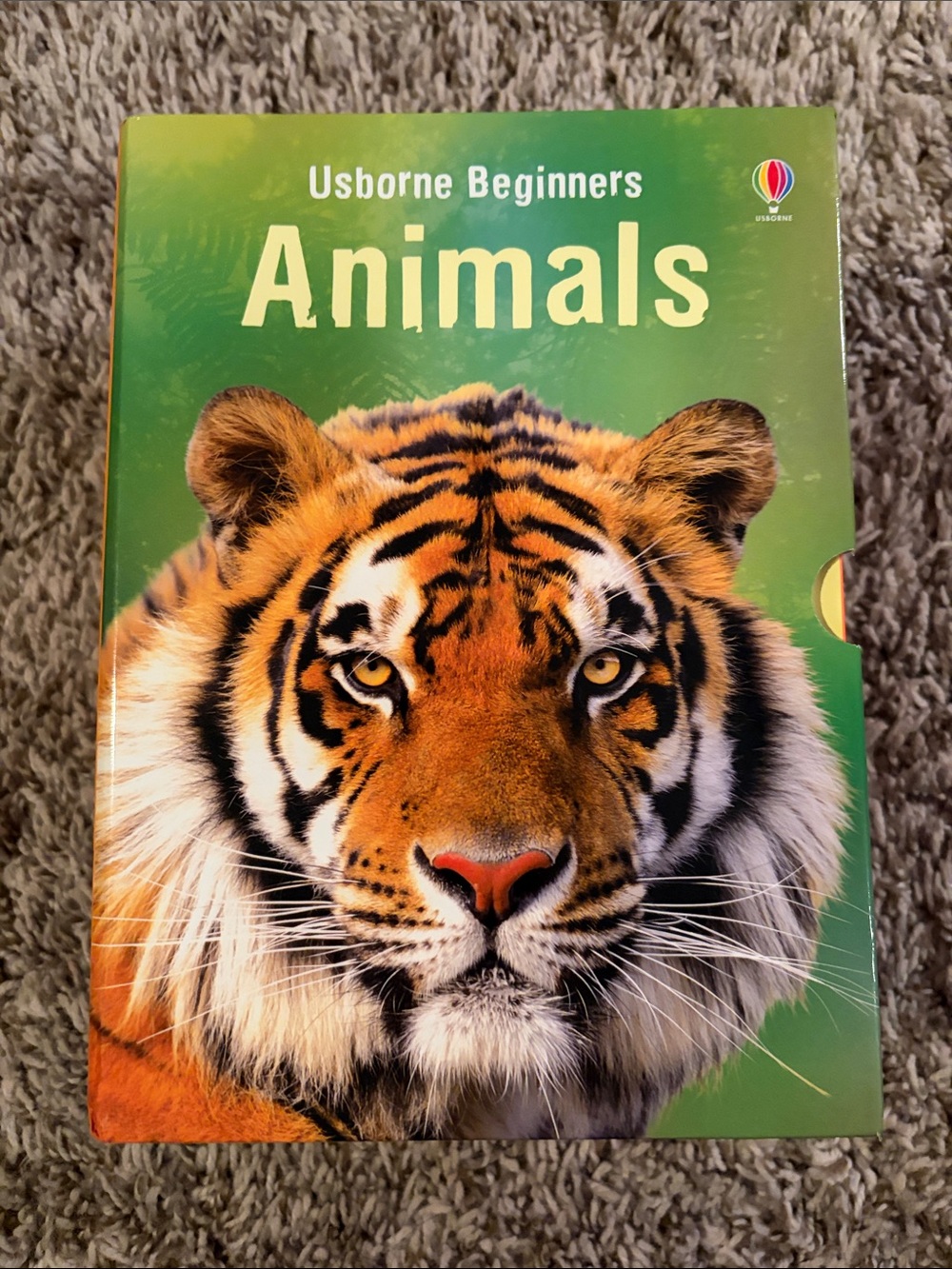 Usborne Beginners Animals Board Book - Green/Orange - 10 Books